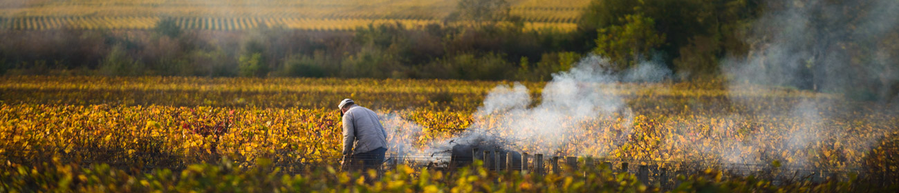 Les Climats du vignoble de Bourgogne