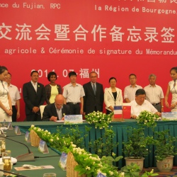 COOPERATION INTERNATIONALE 