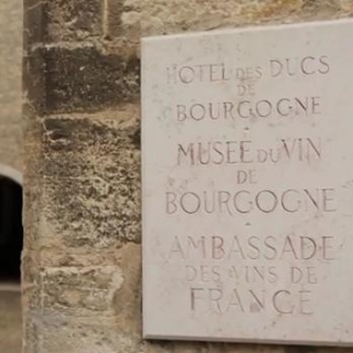 The Climats explained for the children in the Musée du vin de Beaune (FR) - 2012