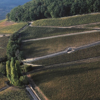 Corton hill © JL Bernuy
