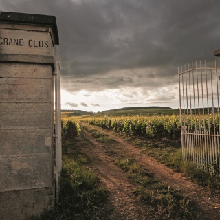 Grand Clos des Epenots (Pommard) © M Joly