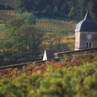 Chambolle-Musigny   © Armelle
