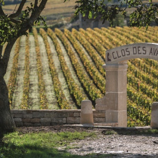 Clos des Avaux  © M Joly