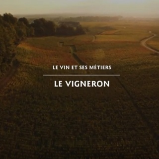 Le vigneron