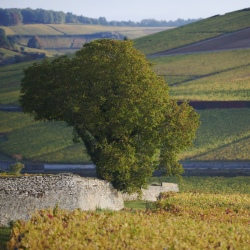 Fonds Climats pour la biodiversité